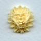 ^Ivory Carved Flower Resin Cabochons 18mm (2)