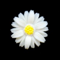 ^Carved Daisy Resin Cabochons 19mm (2)