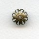 Floral Detail Bead Caps Oxidized Brass 12mm (12)