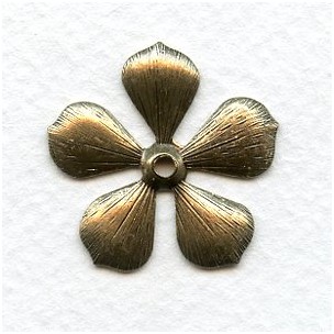 Rounded Petal Flowers Oxidized Brass 19mm (6)