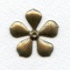 Rounded Petal Flowers Oxidized Brass 19mm (6)