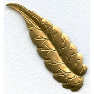 ^Long Slender Leaf Stamping in Raw Brass 77mm (6)
