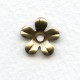 Smooth 5 Petal Flower Stampings Oxidized Brass 13mm (12)