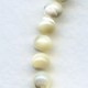Genuine Shell Mother of Pearl Beads 8mm (24)