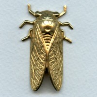 Cicada Bug of Summer Raw Brass 49mm (1)