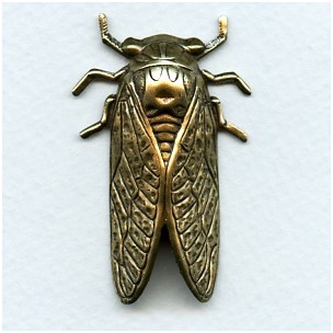Cicada Bug of Summer Oxidized Brass 49mm (1)