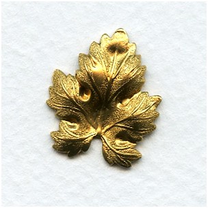 Decorative Maple Leaf Raw Brass Stampings (4)