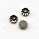 Oxidized Silver Daisy Flower Cabs 5.5mm (12)