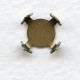 Tiny Turtle Setting 8mm Oxidized Brass (12)