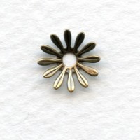 Dapt Flower Oxidized Brass Stampings 10mm (12)