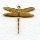 Medium Dramatic Dragonflies 26mm Raw Brass (6)