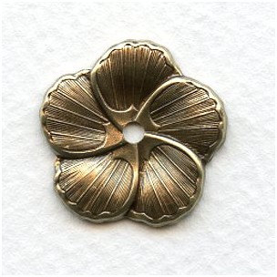 Rounded Petal Flowers Oxidized Brass 23mm (6)