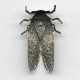 Cicada Bug of Summer Oxidized Silver 49mm (1)