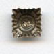 Medallion Crest Oxidized Brass Stamping 21mm (4)