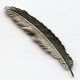 Medium Feather Stampings Oxidized Silver 88mm (2)