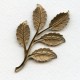Dramatic Leaf Sprays Oxidized Brass 75mm (2)