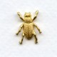 Tiny Bugs Solid Backs Raw Brass (4)
