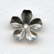 Large Blossom Flower Shapes Oxidized Silver 17mm (6)