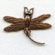 Large Dragonfly Curved Tail Oxidized Copper (3)