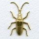 Long Horn Beetle Stamping Raw Brass 31mm (2)