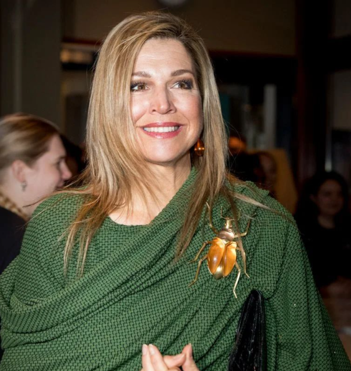 Brooch Styling Inspiration Fashion 2026