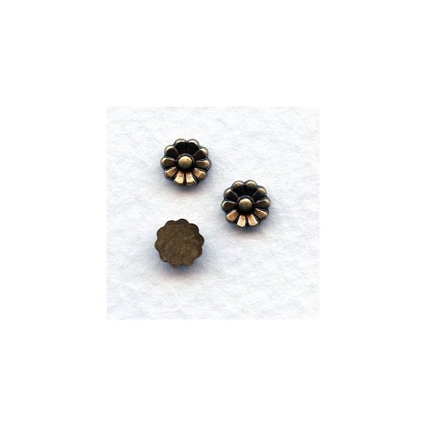 Solid Brass Oxidized Brass Daisy Flower Cabs 5.5mm (12)