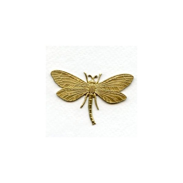 Dragonfly in Awesome Detail Solid Raw Brass Stamping