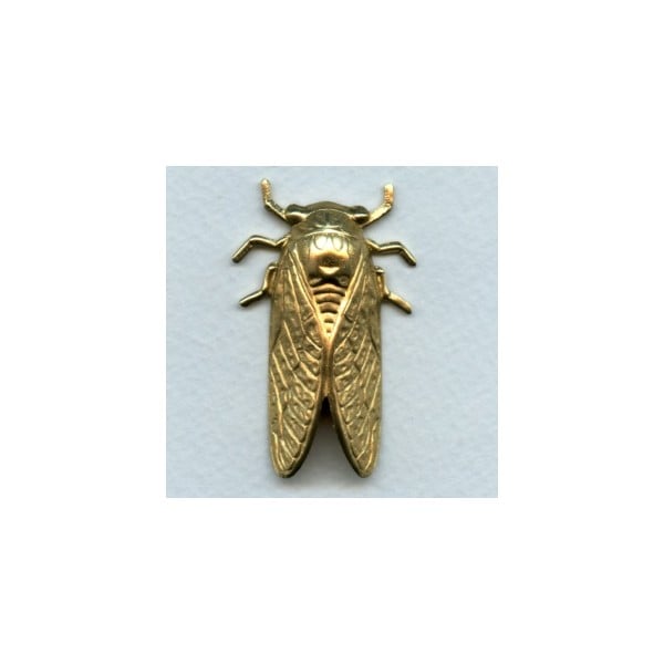Cicada Bug of Summer Raw Brass 49mm (1)