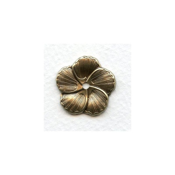 Rounded Petal Flowers Oxidized Brass 23mm (6)