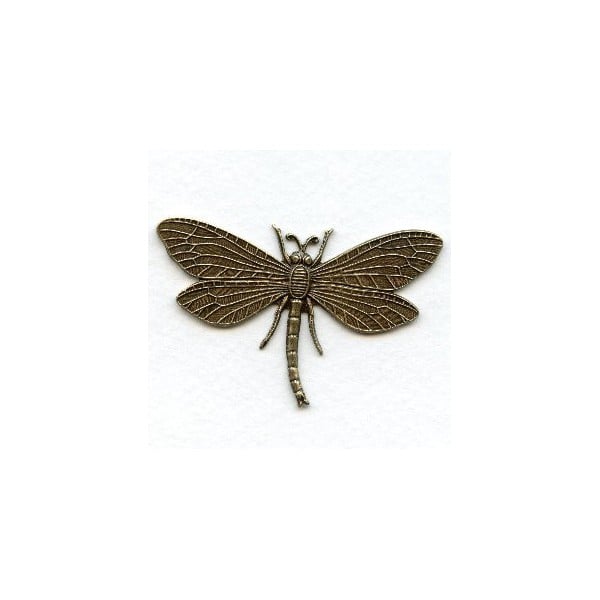 Dragonfly in Awesome Detail Oxidized Brass